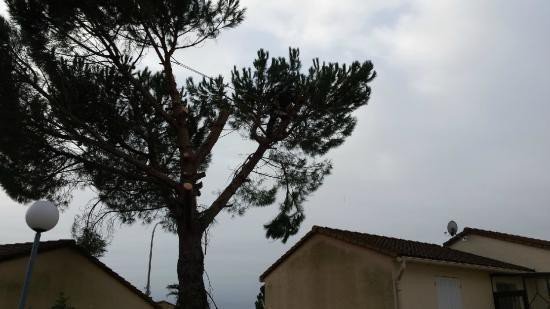 Apport d’engrais à Montpellier