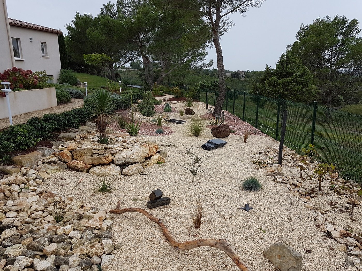 Création de jardin sec à Nîmes