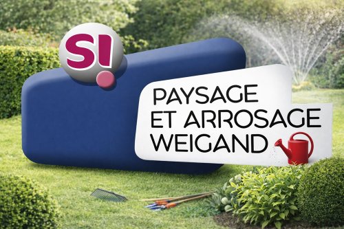 Paysagiste crédit d’impôt à Nîmes