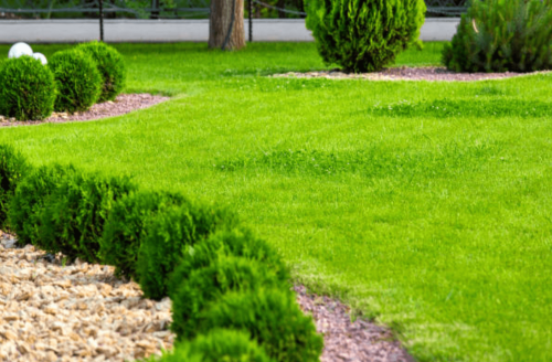 Création de jardins artisan paysagiste à Beaucaire