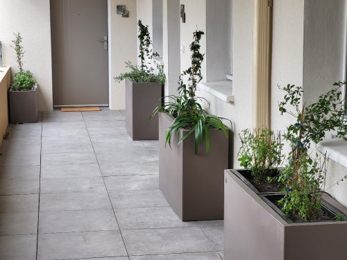 Aménagement des coursives d'un immeuble sur Nîmes Le Carrezzo