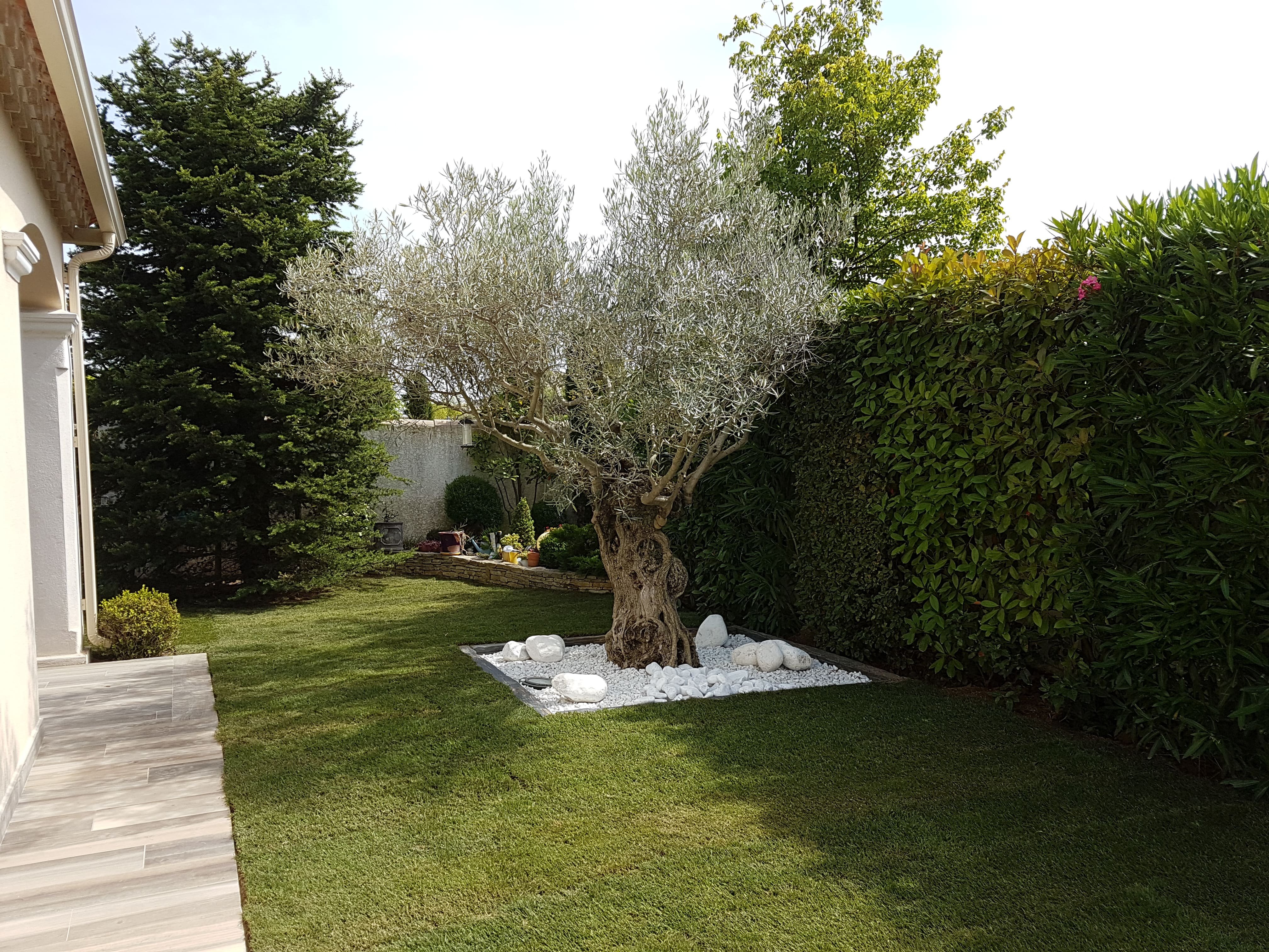 Contrat d’entretien de jardin à Montpellier