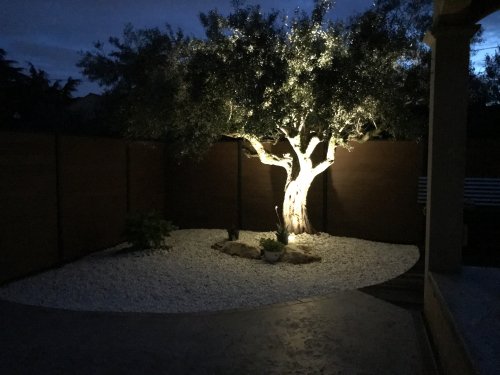 Aménagement d'un jardin sur Marguerittes