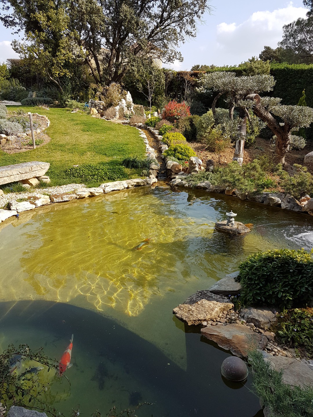 ﻿Entretien paysager de parc à Montpellier