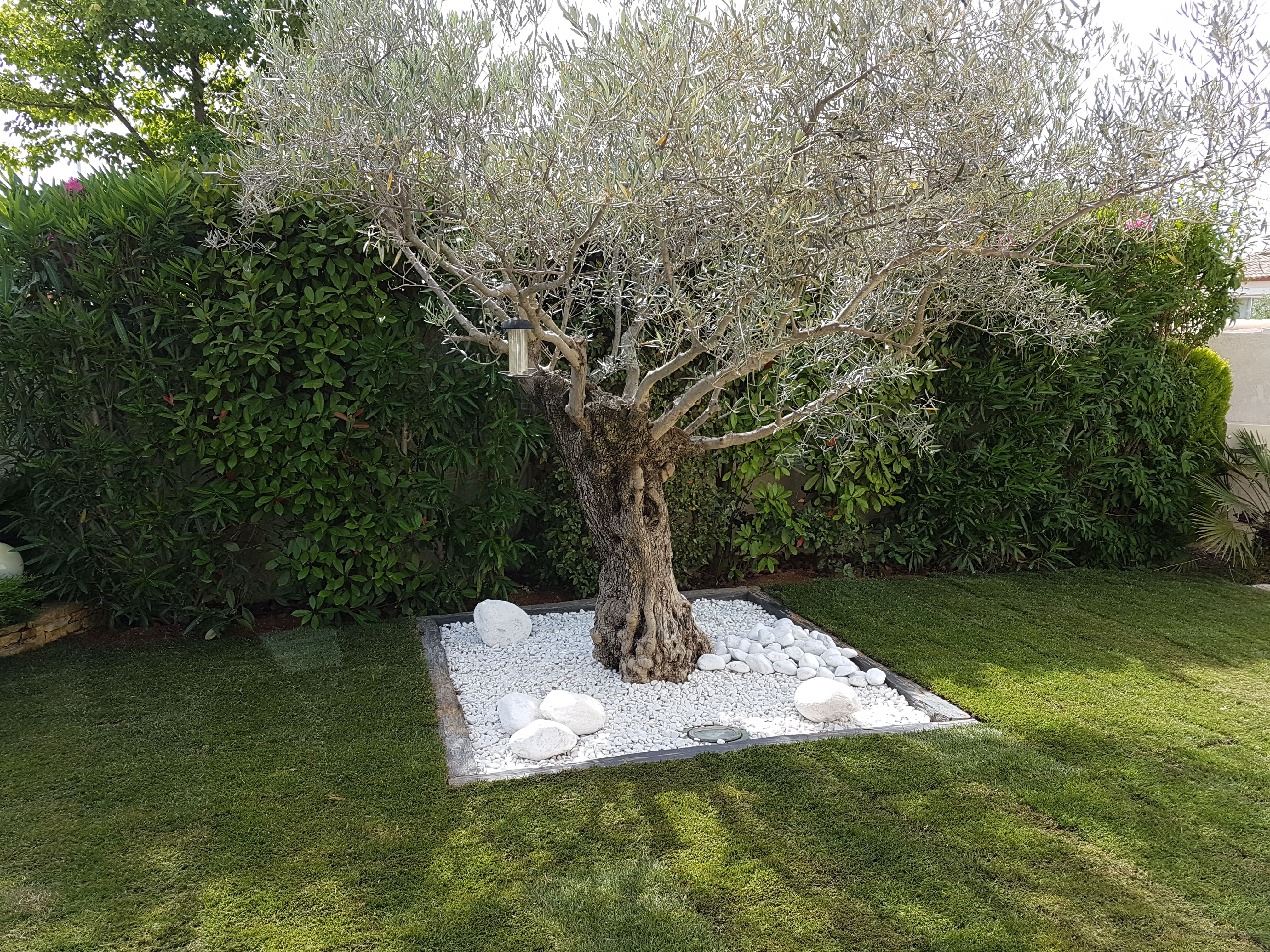 ﻿Traitement de jardin phytosanitaire Alès